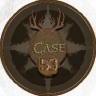 Case53