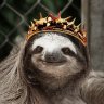 Inglorious_Sloth