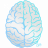 Gradient Brain